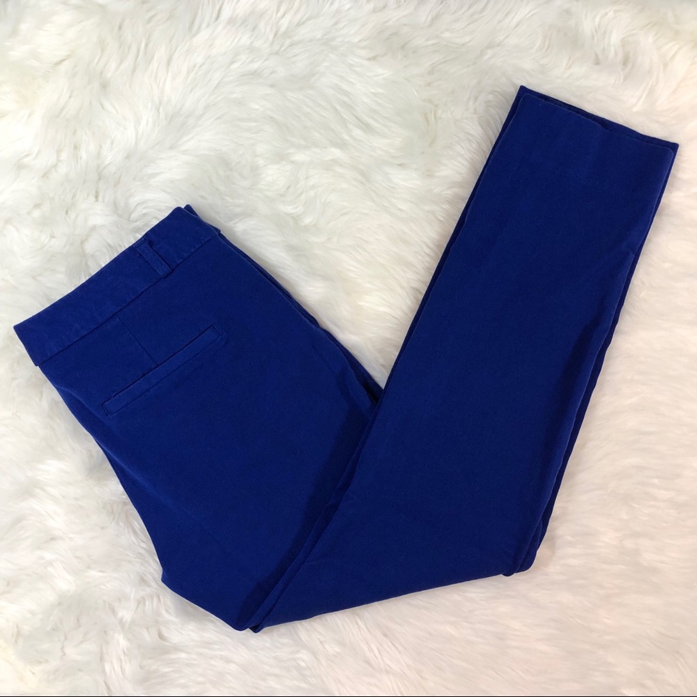 Banana Republic Blue Capri Pants